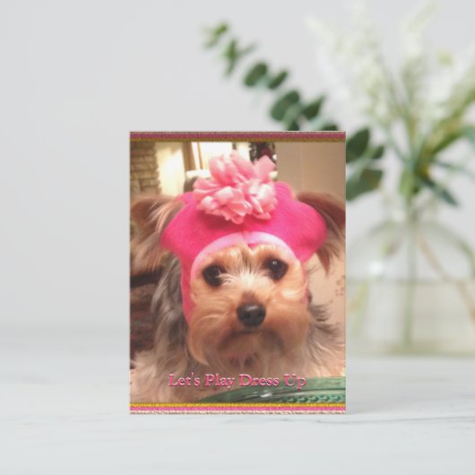 ラヴィングヨークシャーテリアズインハッツはがき ポストカード (スタンド正面)