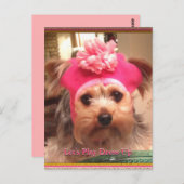 ラヴィングヨークシャーテリアズインハッツはがき ポストカード (正面/裏面)