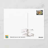 ラヴィング・ファール… ポストカード (裏面)