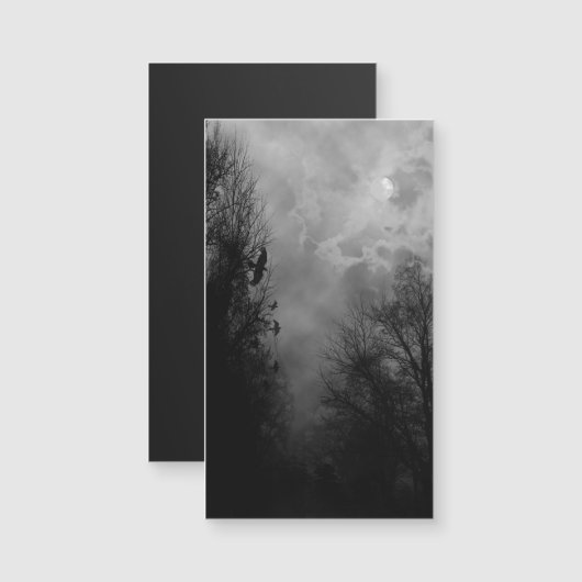 ラヴェンス幽霊のよく出る磁気カード付き満月の空 (正面/裏面)