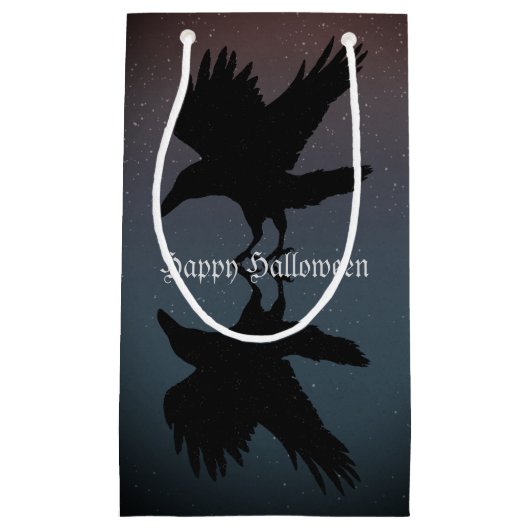 ラヴェンズバードナイトスターリースカイグランジ スモールペーパーバッグ (正面)