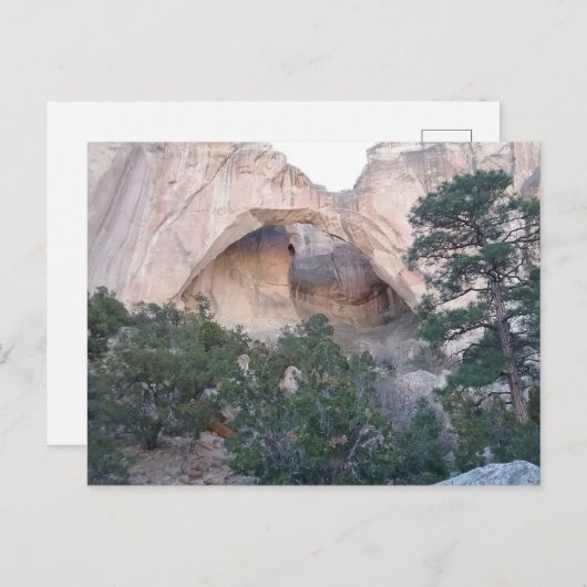 ラヴェンタナアーチアットエルマルパイスナトルパークハガキ ポストカード (正面/裏面)