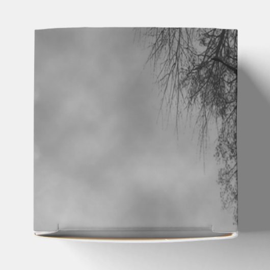 ラヴェン幽霊のよく出るズパーティーの好意ボックスとハロウィーンスカイ フェイバーボックス (上部)