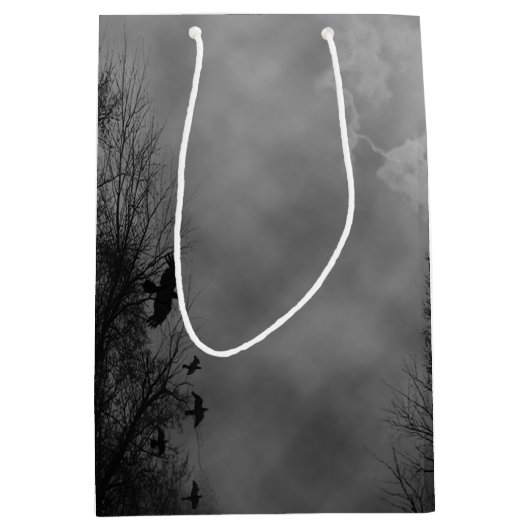 ラヴェン幽霊のよく出るズパーティーの好意ボックスとハロウィーンスカイ ミディアムペーパーバッグ (正面)