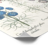 ラークスパー ポスター (角)