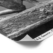 ラーサの崇拝者、別名キング ポスター (角)