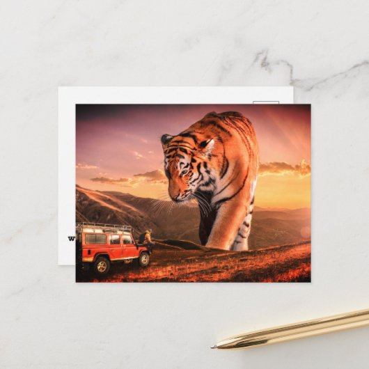 ラージタイガー ポストカード (正面/裏面インサイチュ)