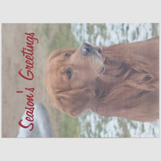 ラージドッグシーズンズグリーティングティッシュペーパー 薄葉紙 (正面)