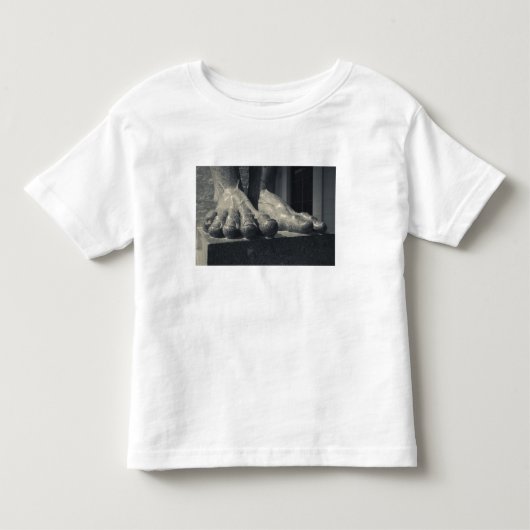 ラージハーミテージ建物彫刻足 トドラーTシャツ (正面)