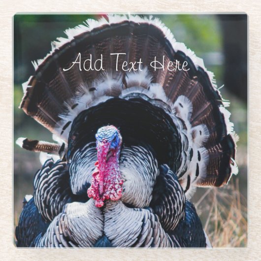 ラージフェスティバル感謝祭トルコ ガラスコースター (正面)