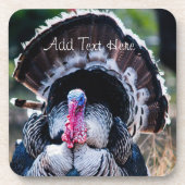 ラージフェスティバル感謝祭トルコ コースター (正面)