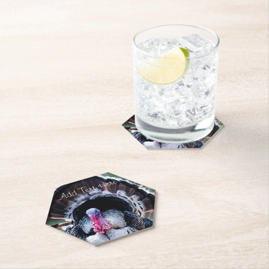 ラージフェスティバル感謝祭トルコ ペーパーコースター (インサイチュ)