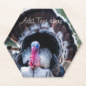 ラージフェスティバル感謝祭トルコ ペーパーコースター (正面)