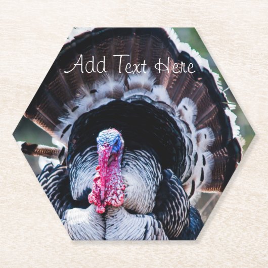 ラージフェスティバル感謝祭トルコ ペーパーコースター (正面)