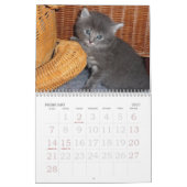 ラージプリントウォールカレンダー2023 - Cats カレンダー (2月 2027)