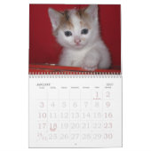 ラージプリントウォールカレンダー2023 - Cats カレンダー (1月 2027)
