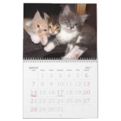 ラージプリントウォールカレンダー2023 - Cats カレンダー (3月 2027)