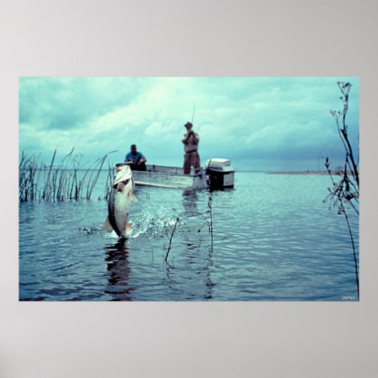 ラージマウスベース用魚釣り ポスター (正面)