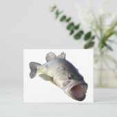 ラージムース・バスフィッシュ ポストカード (スタンド正面)