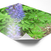 ラージルパン フォトプリント            (角)