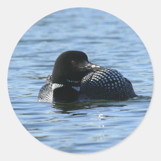 ラージローンステッカー ラウンドシール (正面)