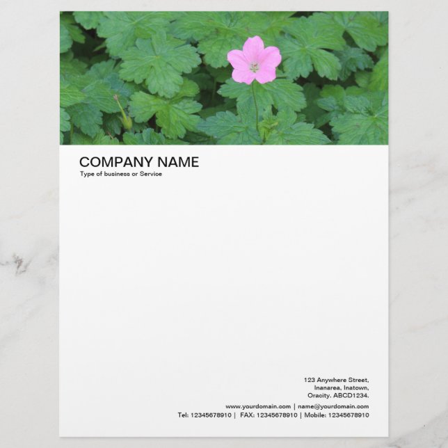 ラージ写真ヘッダ独身の- Geranium レターヘッド (正面)