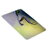 ラージ祈ズのマティス磁石 マグネット (右側)