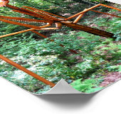 ラージ祈ズ・マンチス・ポスター ポスター (角)