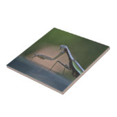 ラージ祈マンティス三徳 タイル (側面)