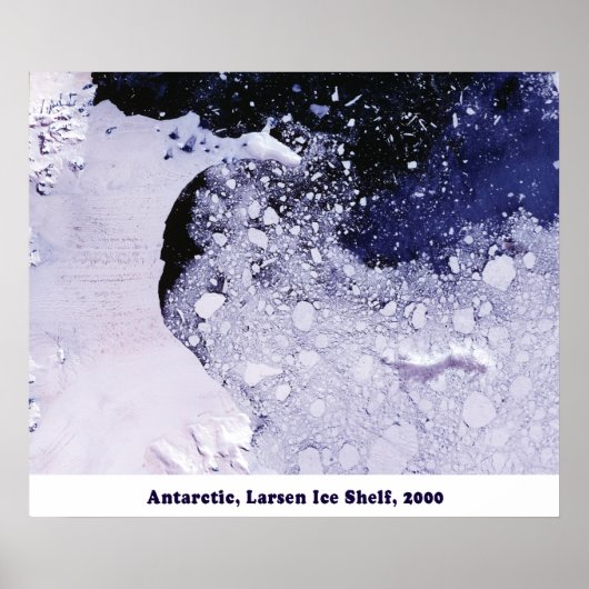 ラーセン氷棚2000 ポスター (正面)