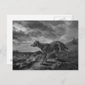 ラーチャードッグスヴィンテージスケッチ ポストカード (正面/裏面)