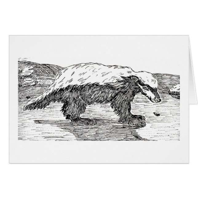 ラーテルかRatel (正面横)