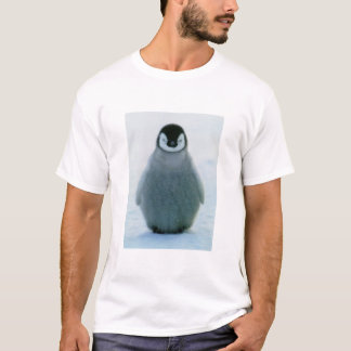ラーフ Tシャツ