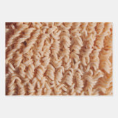 ラーメンおもしろいの写真 ラッピングペーパーシート (正面)