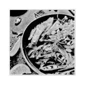 ラーメンのアートワーク ラバースタンプ (インプリント)