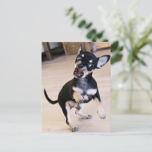 ラー ポストカード (スタンド正面)