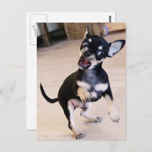 ラー ポストカード (正面/裏面)