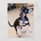 ラー ポストカード (正面)