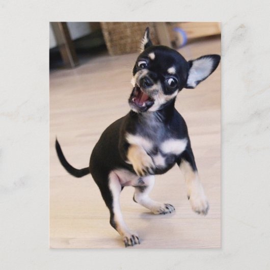 ラー ポストカード (正面)