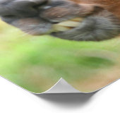 ラ怒マファーム動物 ポスター (角)