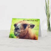 ラ怒マ50誕生日 カード (正面)