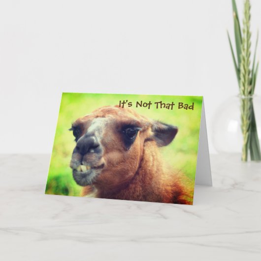 ラ怒マ50誕生日 カード (正面)