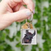 ラ間抜けマ キーホルダー (手)