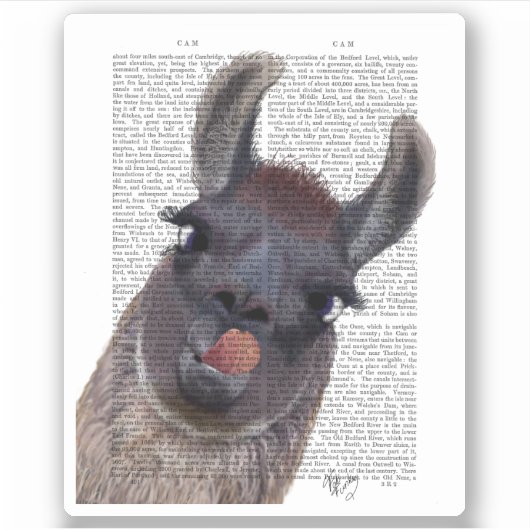 ラ間抜けマ シール (正面)