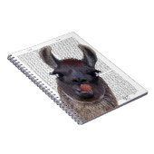 ラ間抜けマ ノートブック (右側)