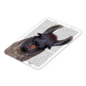 ラ間抜けマ マグネット (左側)