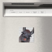 ラ間抜けマ マグネット (インサイチュ (食洗機))