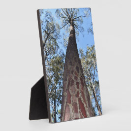 ラ・ガーシュのポンデローザ・パイン写真プレート フォトプラーク