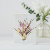 『ラ・ギランデ・ジュリー』のサフランやクロコス ポストカード (スタンド正面)