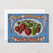 ラ・ストロベリー・ポンチャトゥーラ ポストカード (正面/裏面)